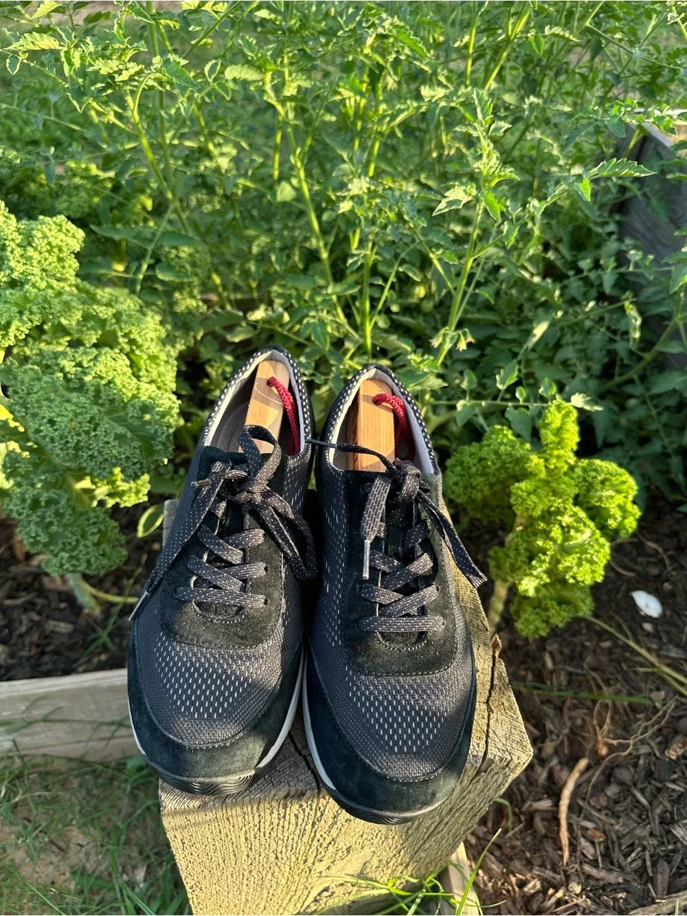 Dansko Women's EU 39 US 8.5-9 Hayes Walking Shoes Leather Lace Up Sneakers